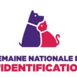Logo SNI