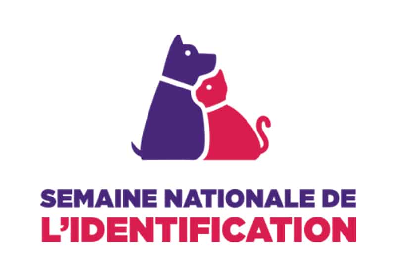 logo_sni.jpg