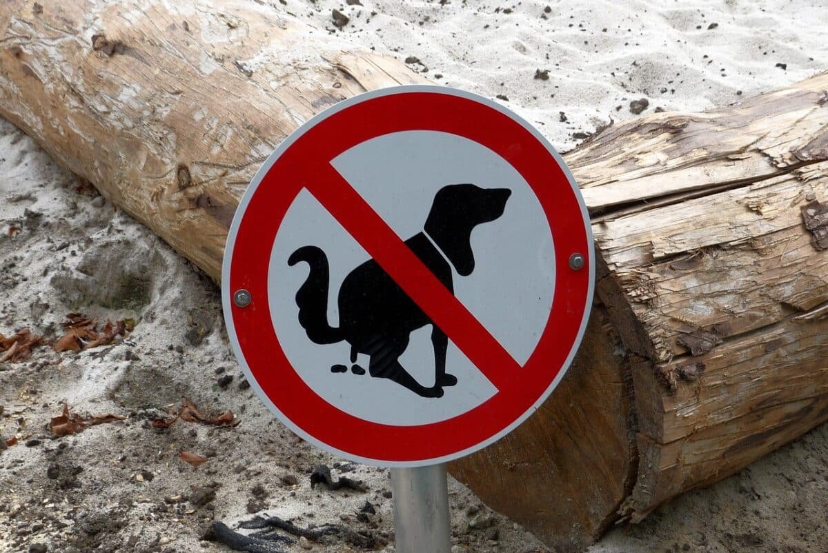 bac-a-sable-Pixabay-1200x802.jpg